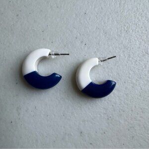 Vintage Blue and White Crescent Earrings